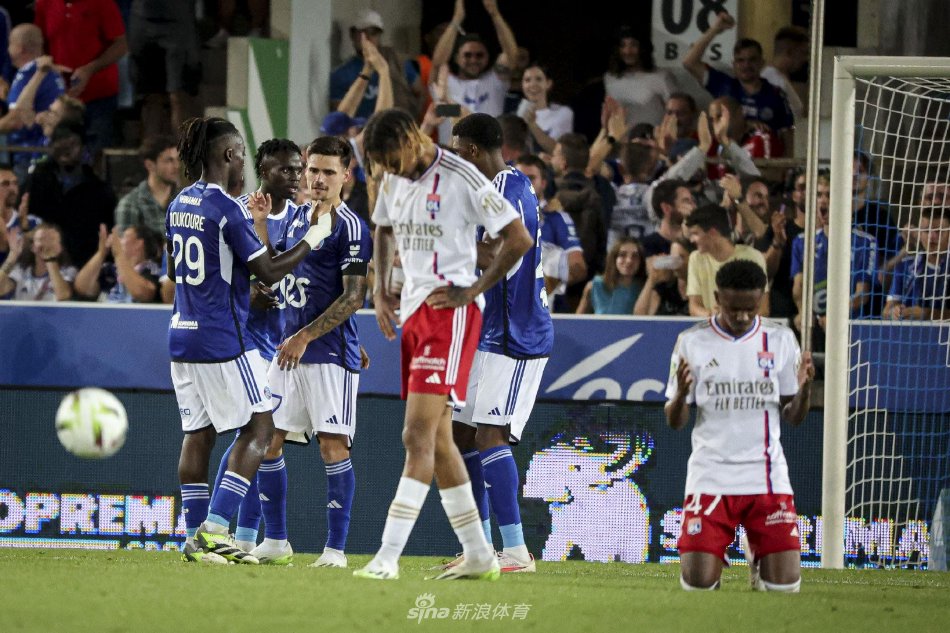 分析机构的 分析机构的